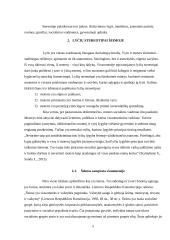 Lyčių stereotipai šeimoje ir visuomenėje 4 puslapis