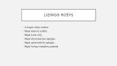Lizingas (skaidrės) 4 puslapis