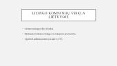 Lizingas (skaidrės) 8 puslapis