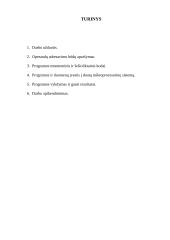 Mikroprocesoriaus i8080 komandų sistema ir programavimas 2 puslapis