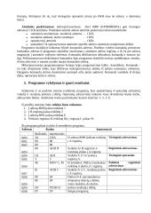 Mikroprocesoriaus i8080 komandų sistema ir programavimas 4 puslapis