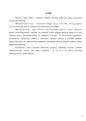 Mikroprocesorinės sistemos 3 puslapis