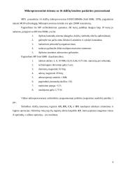 Mikroprocesorinės sistemos 4 puslapis