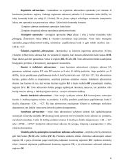 Mikroprocesorinės sistemos 6 puslapis