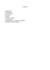 Minkštasis priebalsis [p] 2 puslapis