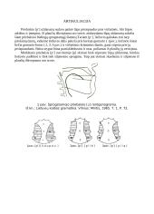 Minkštasis priebalsis [p] 4 puslapis
