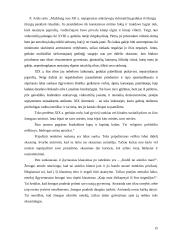 Filosofinis mirties aiškinimas 15 puslapis