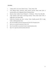 Filosofinis mirties aiškinimas 17 puslapis