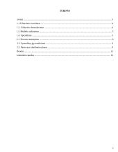 Modelio sudarymas ir sprendimas. Vadybinis sprendimo rezultatų panaudojimas