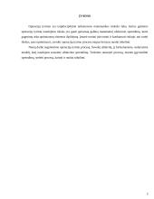 Modelio sudarymas ir sprendimas. Vadybinis sprendimo rezultatų panaudojimas 2 puslapis