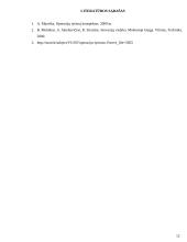 Modelio sudarymas ir sprendimas. Vadybinis sprendimo rezultatų panaudojimas 11 puslapis