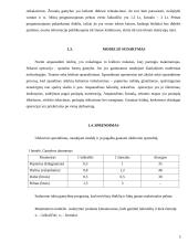 Modelio sudarymas ir sprendimas. Vadybinis sprendimo rezultatų panaudojimas 4 puslapis