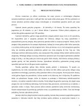 Modelio sudarymas ir sprendimas. Vadybinis sprendimo rezultatų panaudojimas 7 puslapis