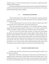 Modelio sudarymas ir sprendimas. Vadybinis sprendimo rezultatų panaudojimas 8 puslapis