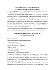 Mokėjimo kortelių rinkos pagrindai, rinkodaros principai, VISA ir Mastercard 12 puslapis