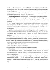 Mokėjimo kortelių rinkos pagrindai, rinkodaros principai, VISA ir Mastercard 13 puslapis