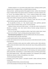 Mokėjimo kortelių rinkos pagrindai, rinkodaros principai, VISA ir Mastercard 18 puslapis