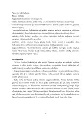 Mokėjimo kortelių rinkos pagrindai, rinkodaros principai, VISA ir Mastercard 20 puslapis