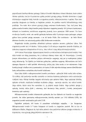 Mokėjimo kortelių rinkos pagrindai, rinkodaros principai, VISA ir Mastercard 7 puslapis