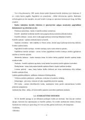 Mokėjimo kortelių rinkos pagrindai, rinkodaros principai, VISA ir Mastercard 8 puslapis