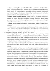 Mokėjimo kortelių rinkos pagrindai, rinkodaros principai, VISA ir Mastercard 10 puslapis