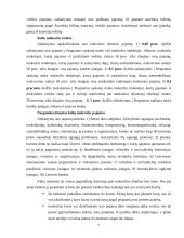 Mokesčiai Lietuvos Respublikoje 7 puslapis