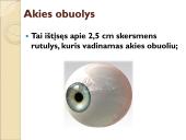 Jutimo organai: nosis, liežuvis, ausis, akis, oda  14 puslapis