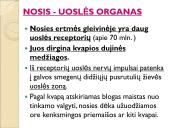 Jutimo organai: nosis, liežuvis, ausis, akis, oda  3 puslapis
