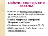 Jutimo organai: nosis, liežuvis, ausis, akis, oda  5 puslapis