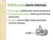 Jutimo organai: nosis, liežuvis, ausis, akis, oda  9 puslapis