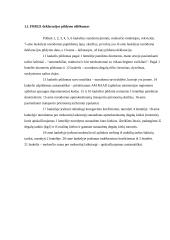 Mokesčio už aplinkos teršimą deklaravimas 3 puslapis