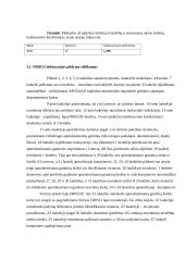 Mokesčio už aplinkos teršimą deklaravimas 7 puslapis