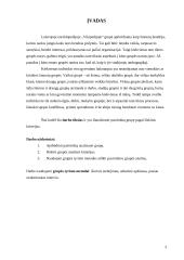 Mokymosi grupės analizė