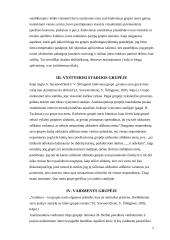 Mokymosi grupės analizė 3 puslapis