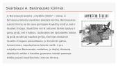 Antanas Baranauskas. Skaidrės 10 puslapis