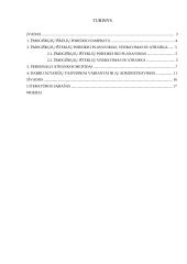 Žmogiškųjų išteklių vadyba rašto darbas