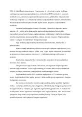 Raudonasis vynas 11 puslapis