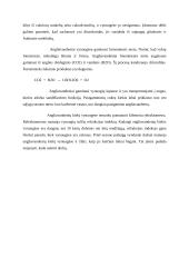 Raudonasis vynas 5 puslapis