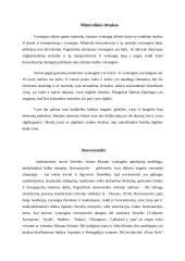 Raudonasis vynas 8 puslapis