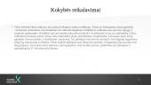 Lydytas sūris 10 puslapis
