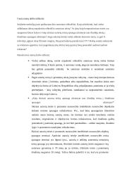 Autorinių teisių namų darbas