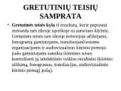 Autorinės teisės bendrosios nuostatos  10 puslapis