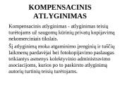 Autorinės teisės bendrosios nuostatos  11 puslapis