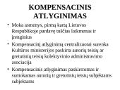 Autorinės teisės bendrosios nuostatos  12 puslapis