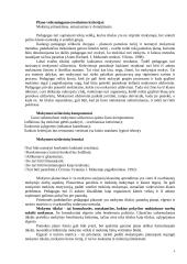 Mokytojo vaidmuo dailės pamokose 2 puslapis