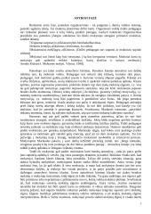 Mokytojo vaidmuo dailės pamokose 3 puslapis