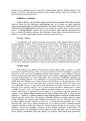 Mokytojo vaidmuo dailės pamokose 4 puslapis