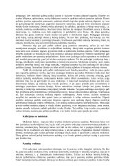 Mokytojo vaidmuo dailės pamokoje 3 puslapis