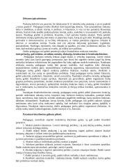 Mokytojo vaidmuo dailės pamokoje 5 puslapis