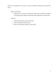 Ratų montavimas ir balansavimas 3 puslapis